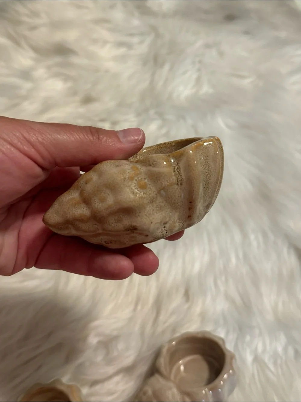 N/A trio seashell
